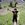 countersteer