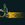 harley_rider_rn