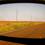 Road reflected in side-view mirror