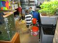 Two of Christopher Toole and Anya Pozdeeva's sons explore the aquaponic setup at The Point.