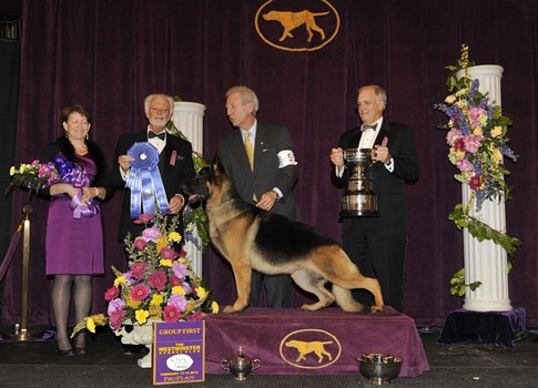 Westminster Herding Group