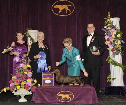 2012 Hound Group Winner