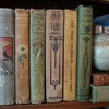 bookshelf, books