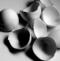 eggs, eggshells