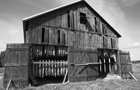 tobacco barn
