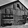 tobacco barn