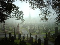 foggy graveyard