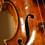 A Guarneri violin
