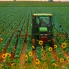 Tractor, field