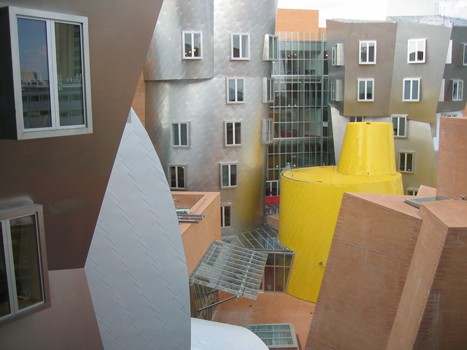 MIT's Stata Center, designed by Frank Gehry