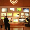 The show is displayed in two atriums, one representing vibrancy and the other, serenity. The images on the far walls are eye-catching thanks to the use of a lightbox technique