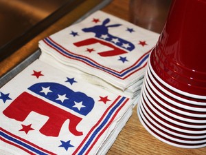 Republican elephant and Democratic donkey napkins