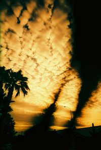 climate change, clouds, palm trees, sky
