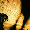 climate change, clouds, palm trees, sky