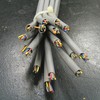 network cable