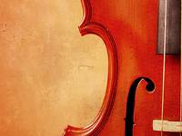 violin