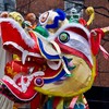 Year of the Dragon