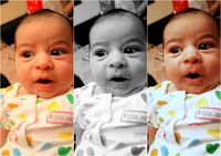 Baby in three color palettes