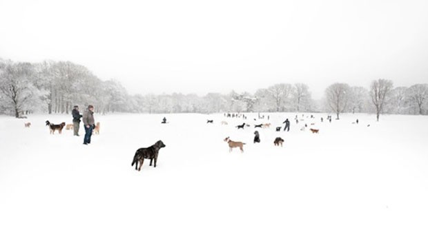'Nethermead, 2010,' - another shot by Holmes. Brooklyn was never so pacific.