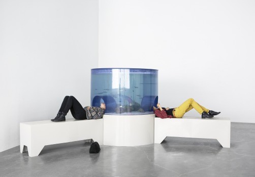 Aquarium, Carsten Höller, New Museum