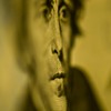 dollar, andrew jackson, money
