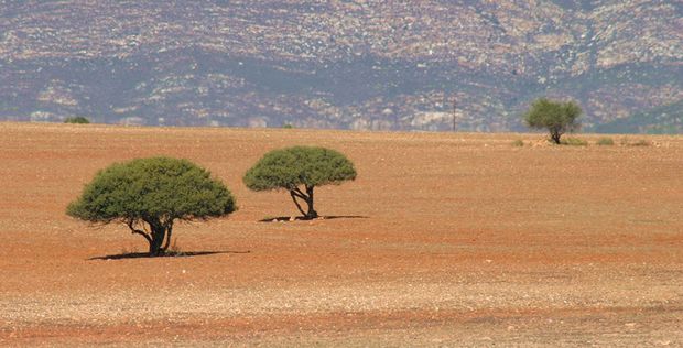 South African landscape