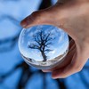 crystal ball
