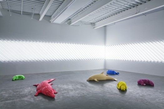 Animal Group, Carsten Höller, New Museum