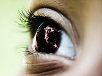 eye