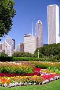 flowers in Grant Park, Chicago