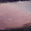 Michael Mizrahi's The Bright Motion