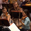 left to right: Fay Yu, Max Haggblom, Christine Foster