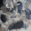 Cover art for 'dos y dos'