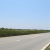 A view along Ocean Parkway, an access point to several south shore beaches on Long Island.