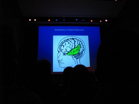 Once we were all set up, we headed to the museum's theatre for a short lecture on the science of memory and dreaming — followed by cookie snacks in the cafe. (Looooved the lemon thins.)