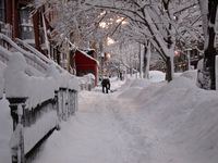 A single shoveler pits himself against the snow Thursday morning January 27, 2011