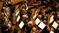 Members of the Dallas Symphony Orchestra