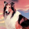 Lassie