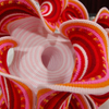 Gabriele Meyer's Red Blossom