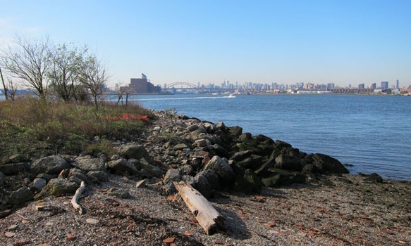 The view from North Brother Island, where Mary Mallon was quarantined.