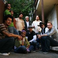 Orgone