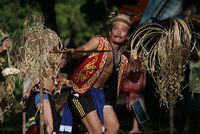 Penan, Borneo
