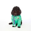 Baldwin the pulik dressed for work.Baldwin the Puli dressed for work.