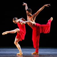 Rhapsody Fantaisie, Morphoses