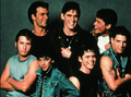 The cast of Francis Ford Coppola's The Outsiders