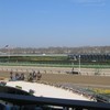 Aqueduct Racetrack, Queens