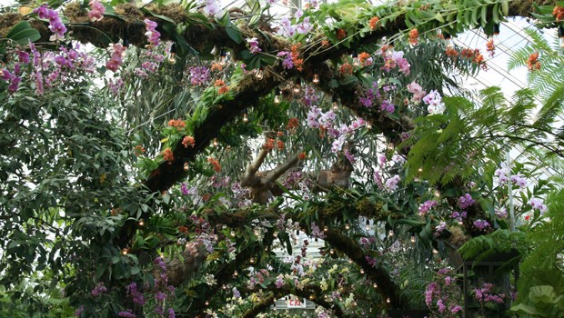 Visitors walk beneath a sweeping archway of orchids, inspired by the New Amsterdam promenade.