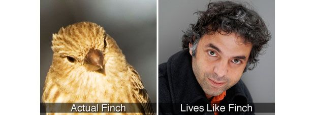Finch and Keret