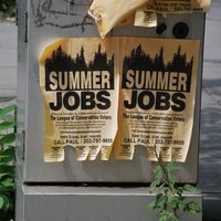 Summer Jobs