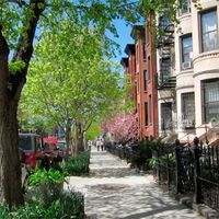 Spring in Park Slope, Brooklyn